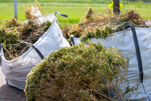Best Residential Junk Removal  in Welby, CO